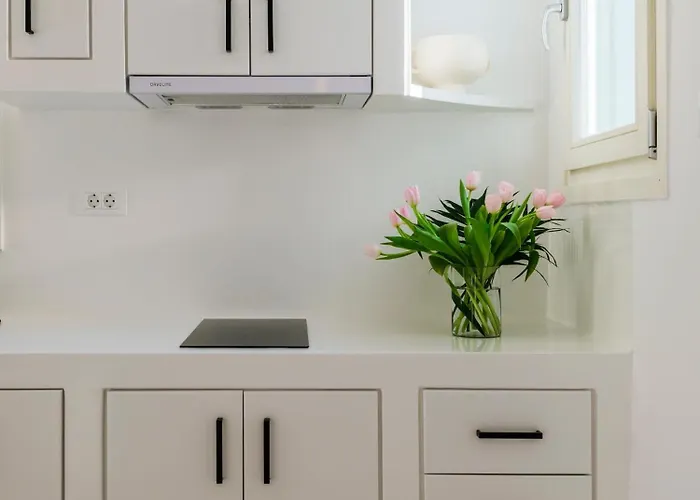 Apartment Sunset Windmills House